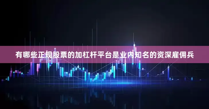 有哪些正规股票的加杠杆平台是业内知名的资深雇佣兵