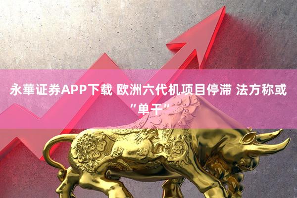 永華证券APP下载 欧洲六代机项目停滞 法方称或“单干”